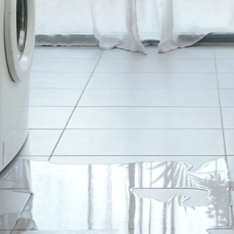 Appliance Leak Cleanup in Galesburg, MI
