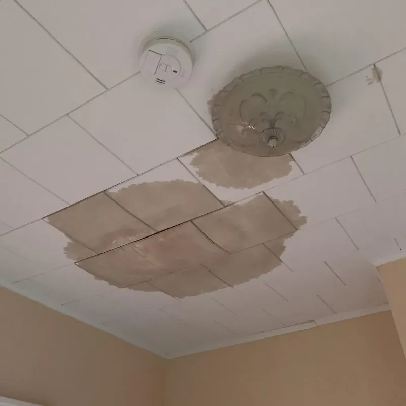 Ceiling Water Damage Repair in Galesburg, MI