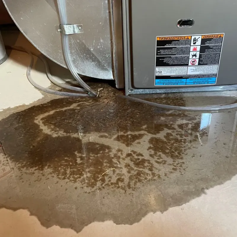 Pipe Burst and Leak Restoration in Galesburg, MI
