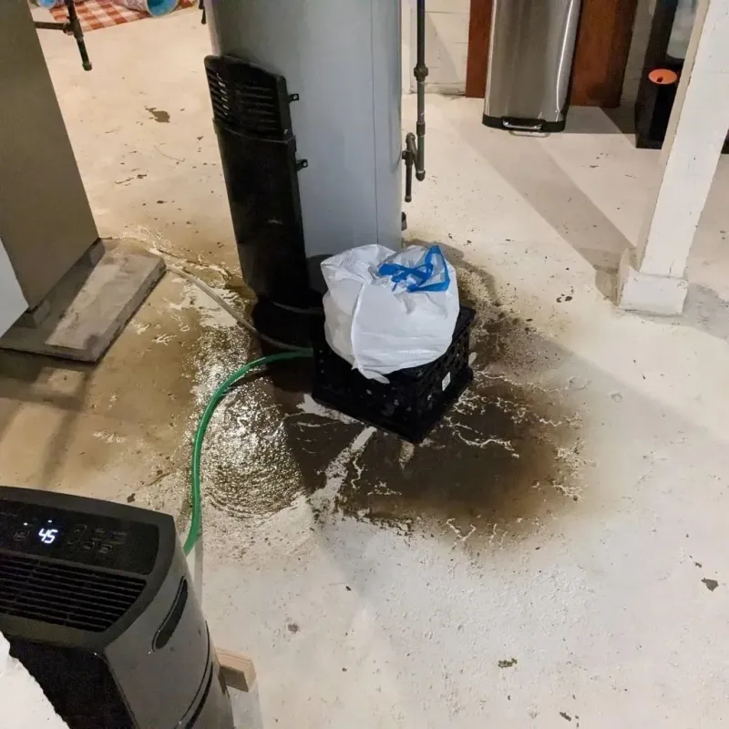 Sewage Backup Cleanup Service in Galesburg, MI